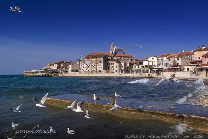 Apartment Ante Umag Extérieur photo